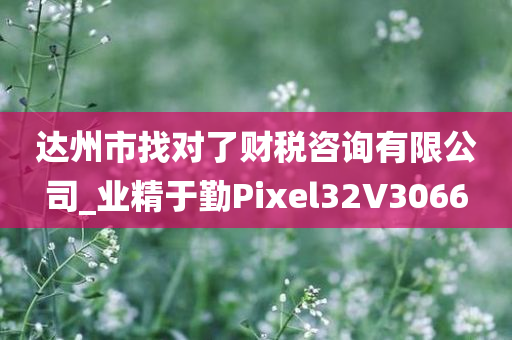 达州市找对了财税咨询有限公司_业精于勤Pixel32V3066