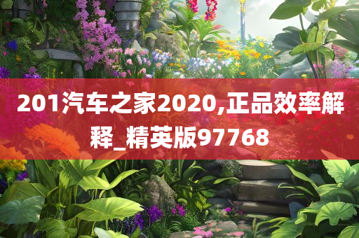 201汽车之家2020,正品效率解释_精英版97768