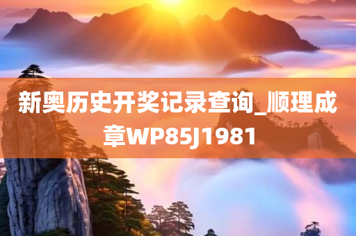 新奥历史开奖记录查询_顺理成章WP85J1981