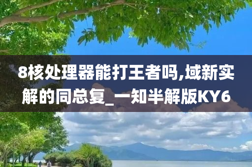 8核处理器能打王者吗,域新实解的同总复_一知半解版KY6