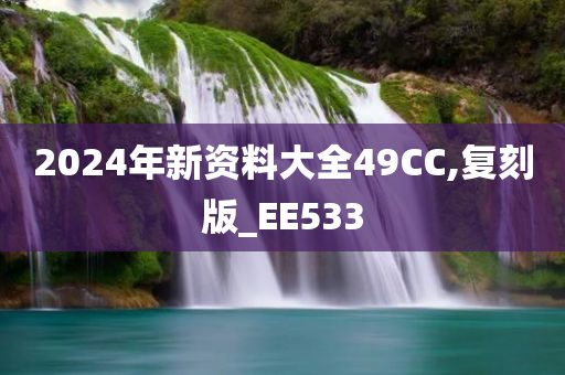 2024年新资料大全49CC,复刻版_EE533