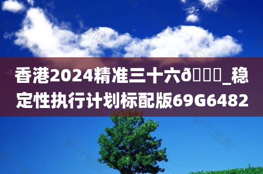 香港2024精准三十六??_稳定性执行计划标配版69G6482