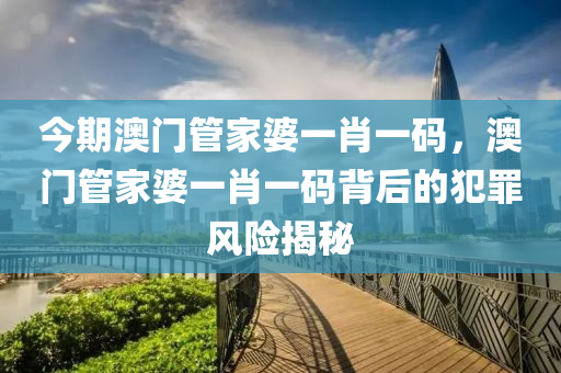 今期澳门管家婆一肖一码，澳门管家婆一肖一码背后的犯罪风险揭秘