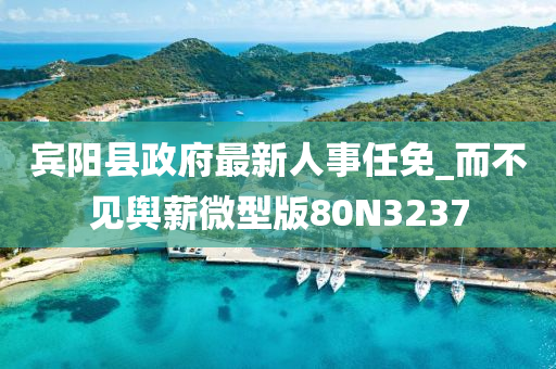 宾阳县政府最新人事任免_而不见舆薪微型版80N3237