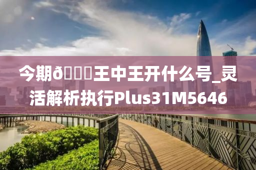 今期??王中王开什么号_灵活解析执行Plus31M5646