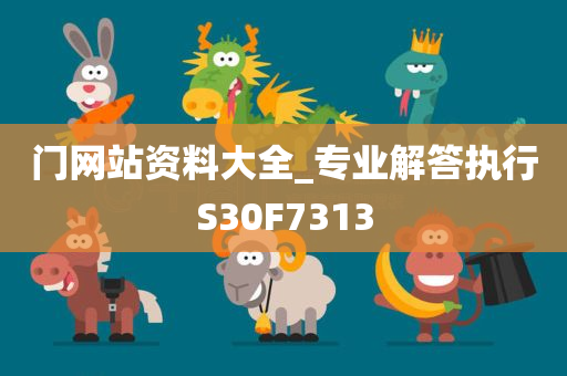 门网站资料大全_专业解答执行S30F7313