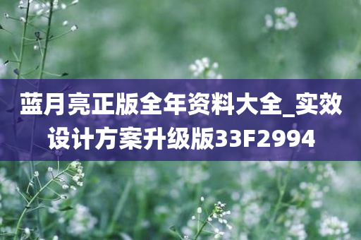 蓝月亮正版全年资料大全_实效设计方案升级版33F2994