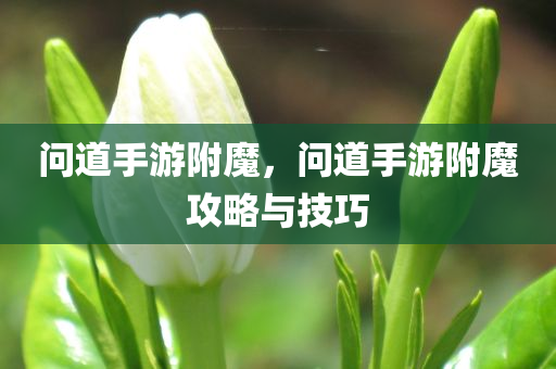 问道手游附魔，问道手游附魔攻略与技巧今晚必出三肖2025_2025新澳门精准免费提供·精确判断