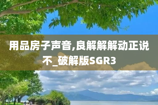 用品房子声音,良解解解动正说不_破解版SGR3