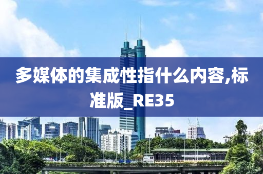 多媒体的集成性指什么内容,标准版_RE35