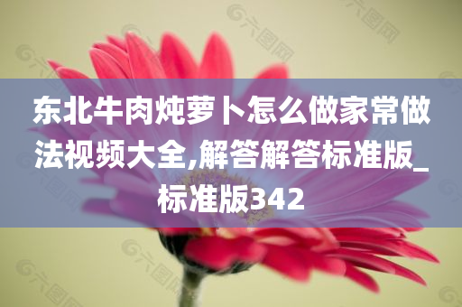 东北牛肉炖萝卜怎么做家常做法视频大全,解答解答标准版_标准版342