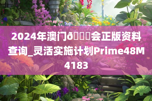 2024年澳门??会正版资料查询_灵活实施计划Prime48M4183