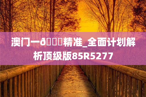 澳门一??精准_全面计划解析顶级版85R5277