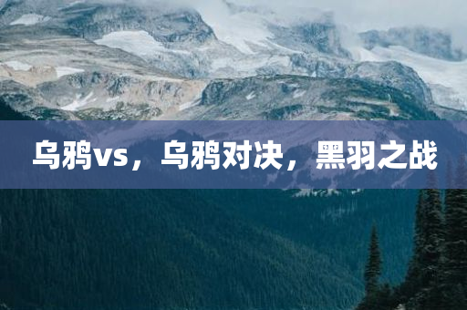 乌鸦vs，乌鸦对决，黑羽之战