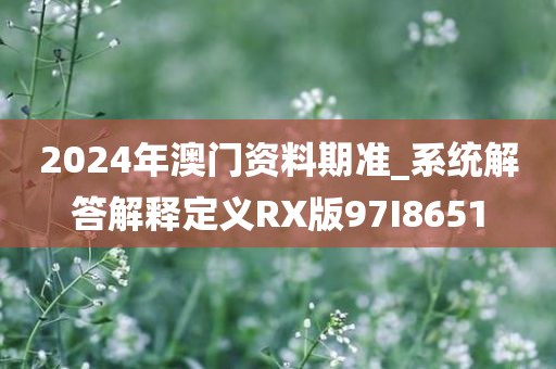 2024年澳门资料期准_系统解答解释定义RX版97I8651