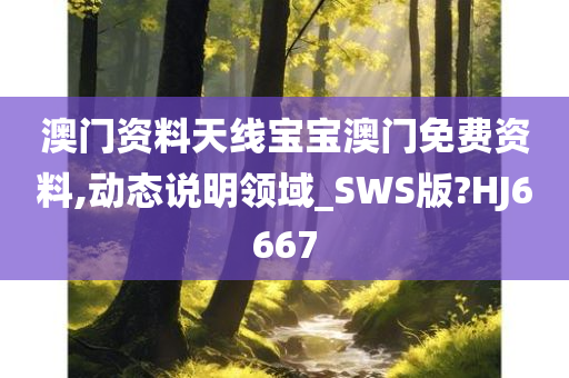 澳门资料天线宝宝澳门免费资料,动态说明领域_SWS版?HJ6667