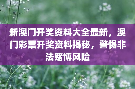 新澳门开奖资料大全最新，澳门彩票开奖资料揭秘，警惕非法赌博风险