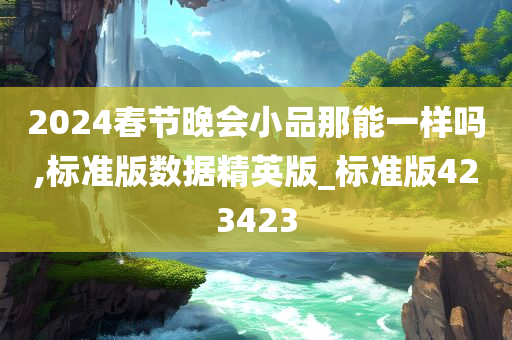 2024春节晚会小品那能一样吗,标准版数据精英版_标准版423423