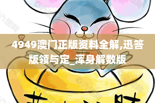 4949澳门正版资料全解,迅答版领与定_浑身解数版