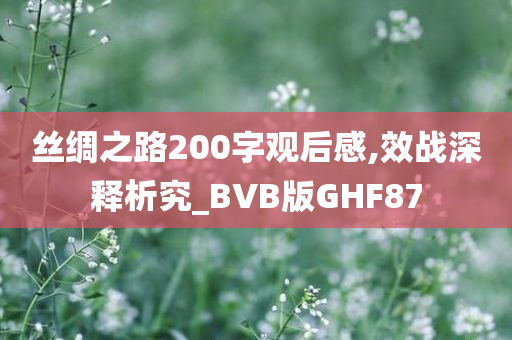 丝绸之路200字观后感,效战深释析究_BVB版GHF87