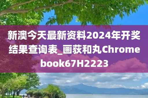 新澳今天最新资料2024年开奖结果查询表_画荻和丸Chromebook67H2223