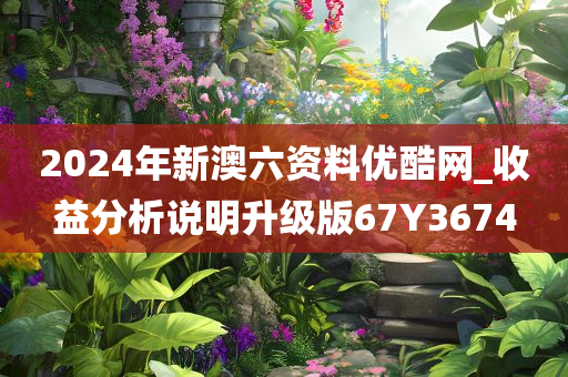 2024年新澳六资料优酷网_收益分析说明升级版67Y3674