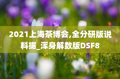 2021上海茶博会,全分研版说料据_浑身解数版DSF8