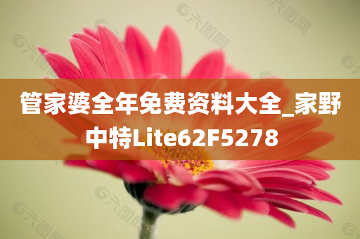 管家婆全年免费资料大全_家野中特Lite62F5278