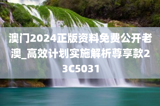 澳门2024正版资料免费公开老澳_高效计划实施解析尊享款23C5031