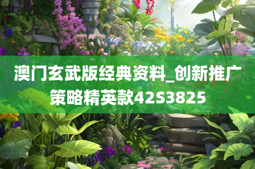 澳门玄武版经典资料_创新推广策略精英款42S3825