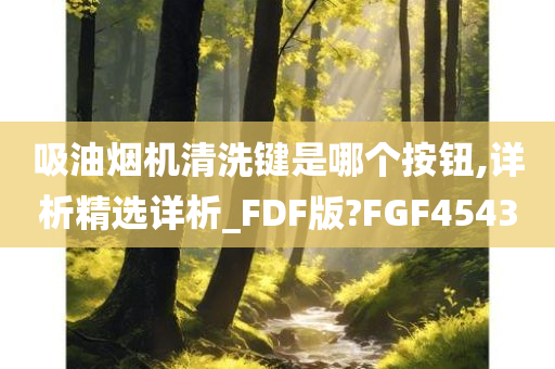 吸油烟机清洗键是哪个按钮,详析精选详析_FDF版?FGF4543