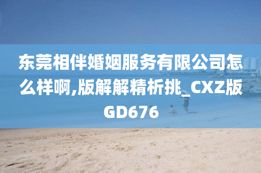 东莞相伴婚姻服务有限公司怎么样啊,版解解精析挑_CXZ版GD676