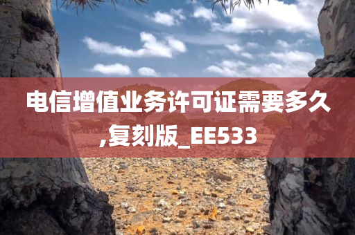 电信增值业务许可证需要多久,复刻版_EE533