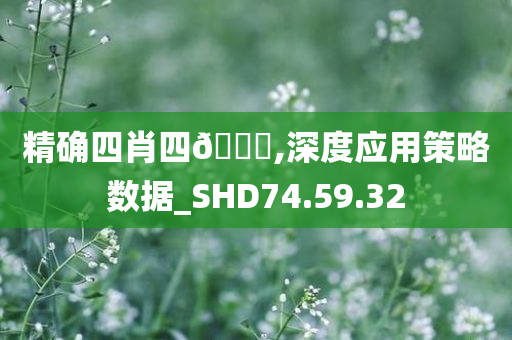 精确四肖四??,深度应用策略数据_SHD74.59.32