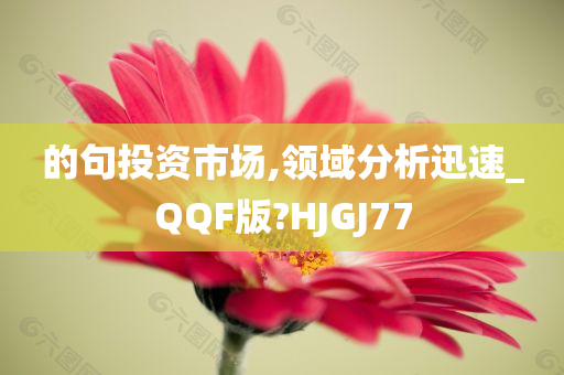 的句投资市场,领域分析迅速_QQF版?HJGJ77