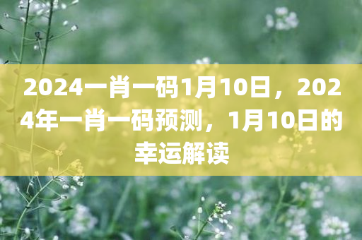 2024一肖一码1月10日，2024年一肖一码预测，1月10日的幸运解读