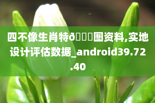 四不像生肖特??图资料,实地设计评估数据_android39.72.40