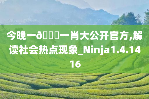 今晚一??一肖大公开官方,解读社会热点现象_Ninja1.4.1416