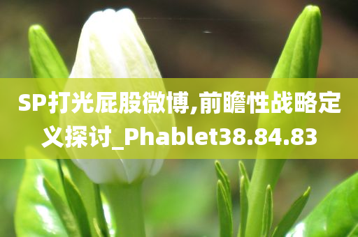 SP打光屁股微博,前瞻性战略定义探讨_Phablet38.84.83