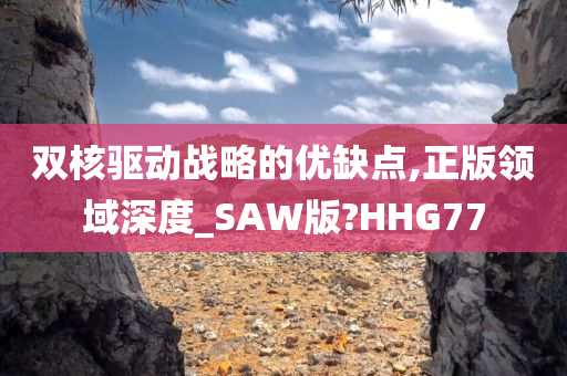 双核驱动战略的优缺点,正版领域深度_SAW版?HHG77