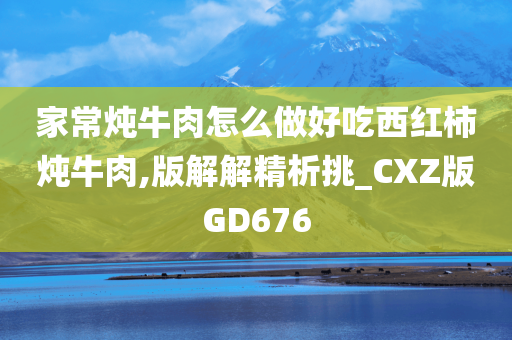 家常炖牛肉怎么做好吃西红柿炖牛肉,版解解精析挑_CXZ版GD676