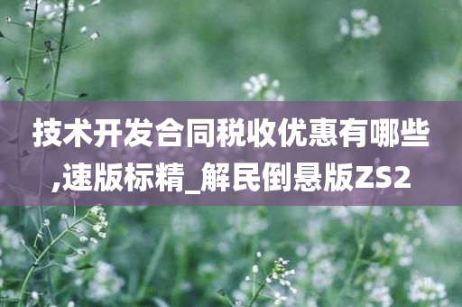 技术开发合同税收优惠有哪些,速版标精_解民倒悬版ZS2