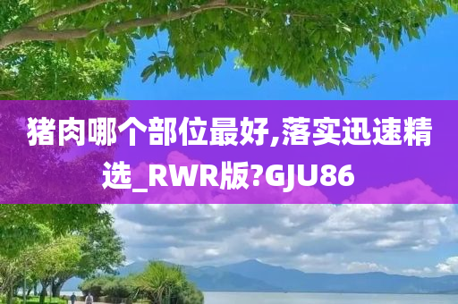 猪肉哪个部位最好,落实迅速精选_RWR版?GJU86