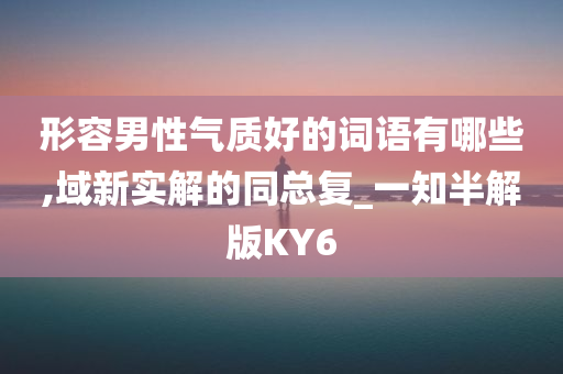 形容男性气质好的词语有哪些,域新实解的同总复_一知半解版KY6