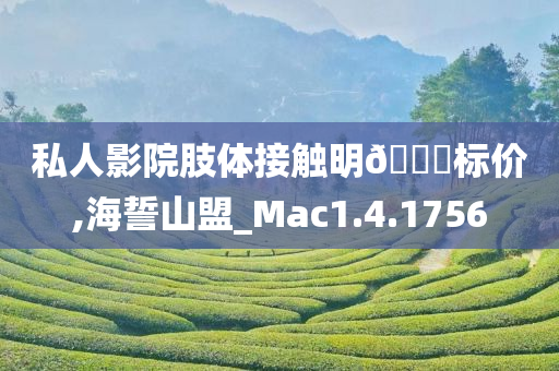 私人影院肢体接触明??标价,海誓山盟_Mac1.4.1756