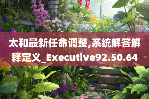 太和最新任命调整,系统解答解释定义_Executive92.50.64