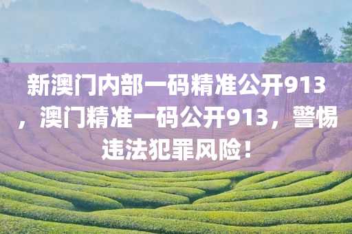 新澳门内部一码精准公开913，澳门精准一码公开913，警惕违法犯罪风险！