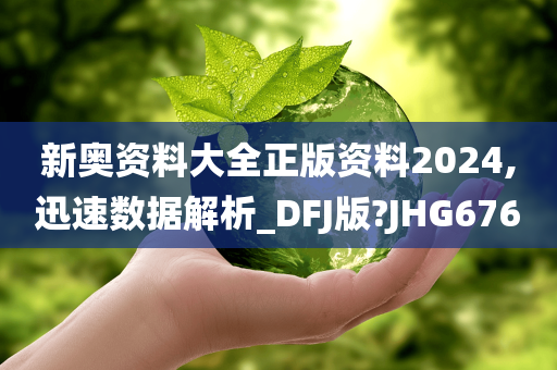 新奥资料大全正版资料2024,迅速数据解析_DFJ版?JHG676