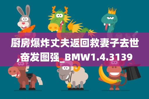 厨房爆炸丈夫返回救妻子去世,奋发图强_BMW1.4.3139