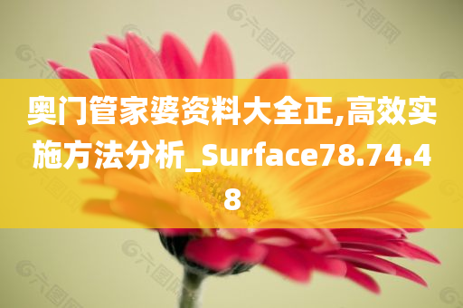 奥门管家婆资料大全正,高效实施方法分析_Surface78.74.48